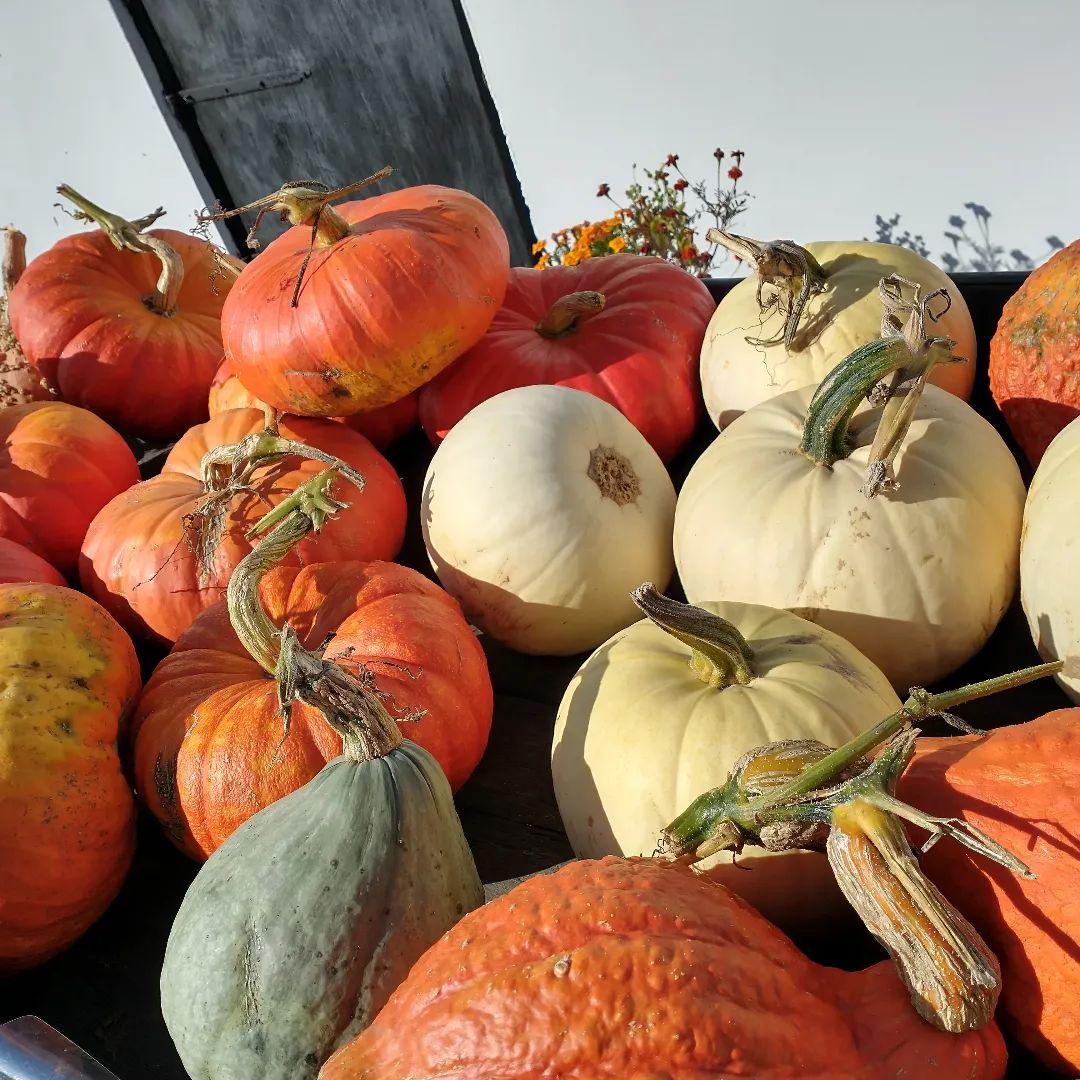 Love this time of the year!